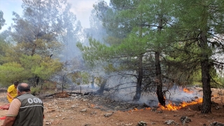 Kahramanmaraş’ta çıkan örtü yangını söndürüldü
