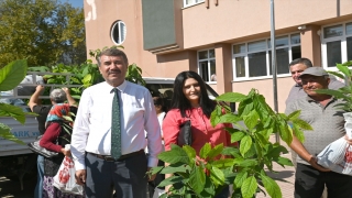 Anamur’da kadın üreticilere avokado fidanı dağıtıldı