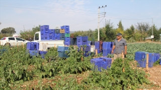 Antalya’da dolu ve fırtına tarım alanlarına zarar verdi