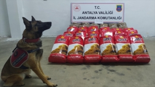 Antalya’da kaçak tütün operasyonunda 1 şüpheli yakalandı
