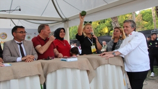 Alanya’da ”En Ağır Avokado Yarışması” yapıldı