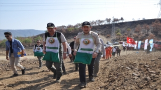 Mersin’de yanan ormanlık alanlara 450 milyon kızılçam tohumu ekildi