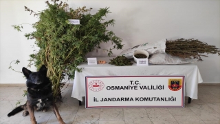 Osmaniye’de evinde uyuşturucu ele geçirilen zanlı tutuklandı