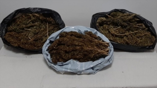 Mersin’de 10 kilo 248 gram skunk ele geçirildi