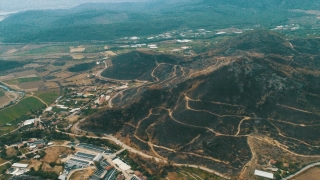 Isparta’da yanan ormanlık alan yeşermeye başladı