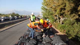 Antalya’da kalite yönetmeliğine uymayan 295 ton kömür il dışına çıkarıldı