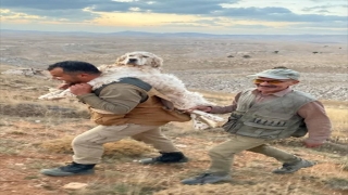 Mersin’de yaylaya çıkan kişi, yorulan köpeğini sırtında taşıdı