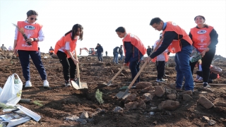 Gaziantep ve çevre illerde fidanlar toprakla buluşturuldu