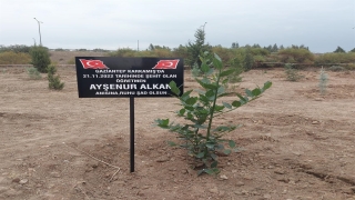 Osmaniye’de, terör saldırısında yaşamını yitiren Ayşenur öğretmen anısına fidan dikildi