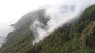 Mersin’de yıldırım düşmesi sonucu çıkan orman yangını kontrol altında