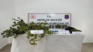 Antalya’da evinde ve seralarında uyuşturucu imalatı yapan zanlı yakalandı