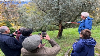 Kilis zeytinyağının geliştirilmesi için İtalyan tadım uzmanlarına ziyaret