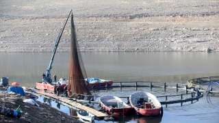 Anadolu’daki barajlarda yetiştirilen alabalıklar 36 ülkeye ihraç ediliyor