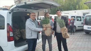 Hatay’da 40 bin biberiye fidesi dağıtıldı