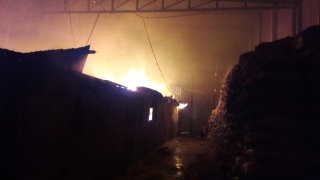 Mersin’de defne yaprağı işleme fabrikasında çıkan yangın söndürüldü