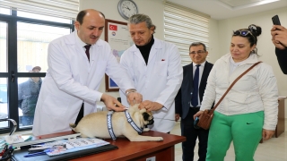 Adana’da 15 bin ev hayvanı kimliklendirilerek kayıt altına alındı