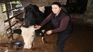 Hataylı kadın girişimci devlet desteğiyle besici oldu