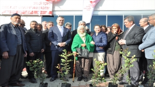 Tarsus’ta çiftçilere keçiboynuzu fidanı dağıtıldı