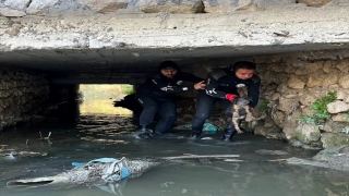 Hatay’da dere yatağında mahsur kalan köpek yavrusunu itfaiye çıkardı