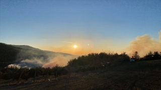 Osmaniye’de çıkan orman yangınına müdahale ediliyor