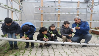 Çocuklar topraksız tarımı balık ve bitkinin birlikte yetiştirildiği sistemle öğreniyor
