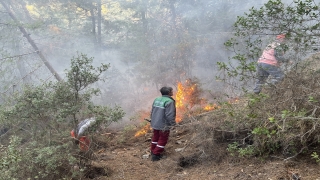 Alanya’da çıkan yangında 10 dönüm ormanlık alan zarar gördü