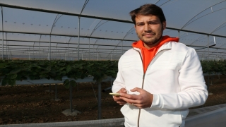 Adana’da üreticiler, ”Tarım Cebimde” uygulamasını kullanmaya başladı