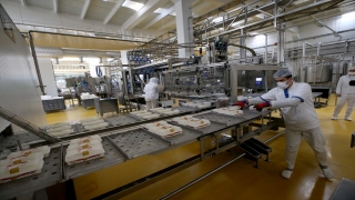 Kahramanmaraş’tan 48 ülkeye 2,5 milyon dolarlık dondurma ihracatı