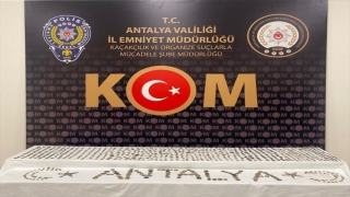 Antalya’da tarihi eser operasyonunda bir şüpheli yakalandı