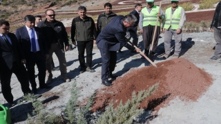 Osmaniye’de 28 bin fidanla ”Türkiye Yüzyılı” yazıldı