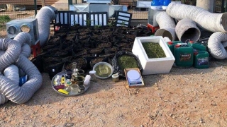 Adana’da villada iklimlendirme sistemi kurup kenevir yetiştiren zanlı yakalandı