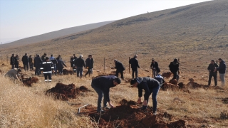 Kahramanmaraş’ta alıç fideleriyle arıcılıkta verimliliğinin artırılması hedefleniyor