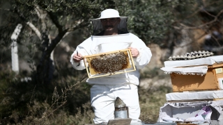 Adana’da bal üretimine yönelik projeler hem kovanları hem rekolteyi artırdı