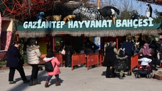 Gaziantep Hayvanat Bahçesi’nin hedefi 6 milyon ziyaretçi