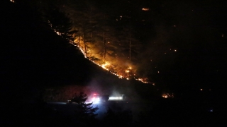 Alanya’da orman yangını başladı