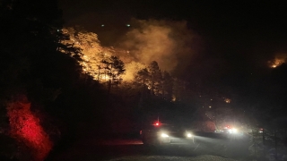 Alanya’da orman yangını başladı
