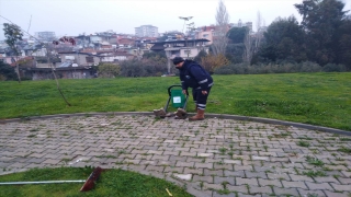 Antakya Belediyesi park ve bahçelerde yenileme çalışması yaptı
