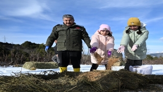 Osmaniye Valisi Erdinç Yılmaz, yaban hayvanları için doğaya yem bıraktı
