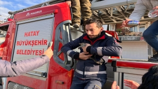 Hatay’da depremde hasar gören binada mahsur kalan kedi yavrusu kurtarıldı