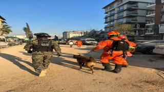Güney Kore’den gelen ve yaralanan 3 arama kurtarma köpeği ayaklarındaki bandajlarla çalışıyor