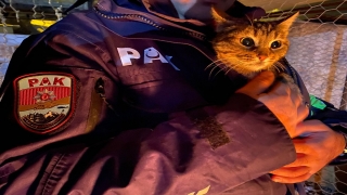 Depremde mahsur kalan kedi, polis tarafından iş makinesi yardımıyla kurtarıldı