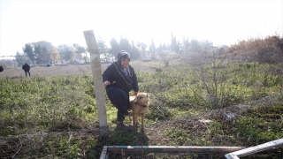 Hataylı Genco ailesini deprem gecesi köpekleri ”Çilek” güvenli bölgeye çıkardı