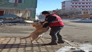 Antalya’da depremzedelere yardımlar sürüyor