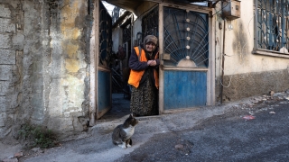 Kedileri için hasarlı evini terk etmiyor