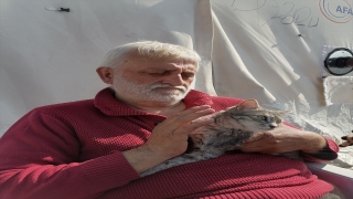Sahibinin yanından ayırmadığı kedi ”Tanya” çadır kentin moral kaynağı oldu