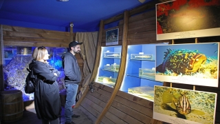 Antalya Deniz Biyoloji Müzesi’ndeki balıklar yenilenecek