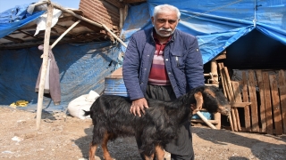 Kahramanmaraş’ta kurban bağışları ihtiyaç sahiplerine ulaştırılıyor