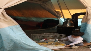 Depremde evi ağır hasar gören aileye kurtardıkları iki muhabbet kuşu moral oluyor