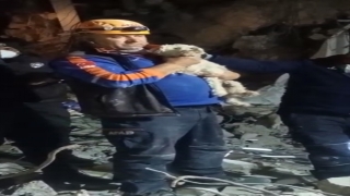 Hatay’da depremin 25. gününde enkazdan bir köpek canlı çıkartıldı