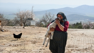 Depremzede Elmas Teyze, enkazda annesi telef olan kuzusu ”Nazlı”yla teselli oluyor